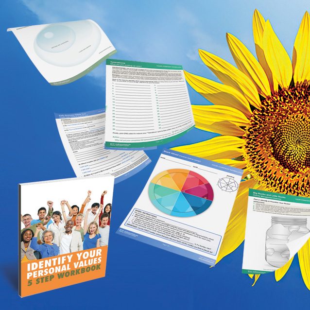 Example Coaching Tools on Blue Background with Sunflower